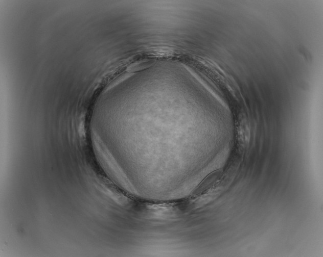 X0000111900516200908101143