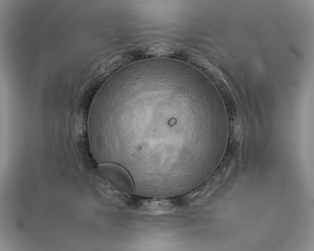 X0000111900517200908101143