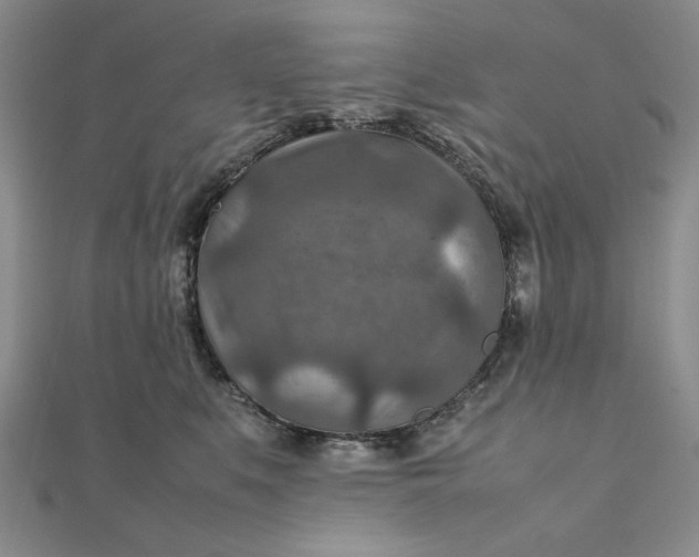 X0000111900519200908101143