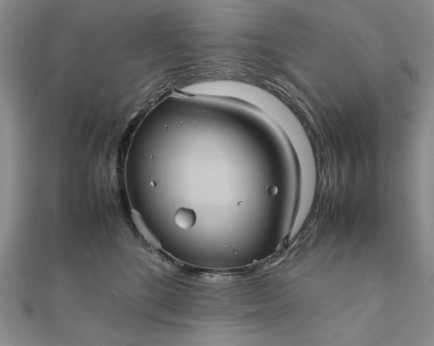 X0000111900520200908101143