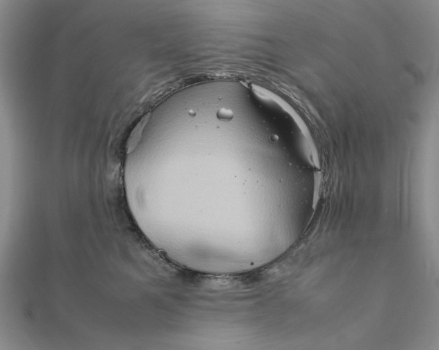 X0000111900521200908101143