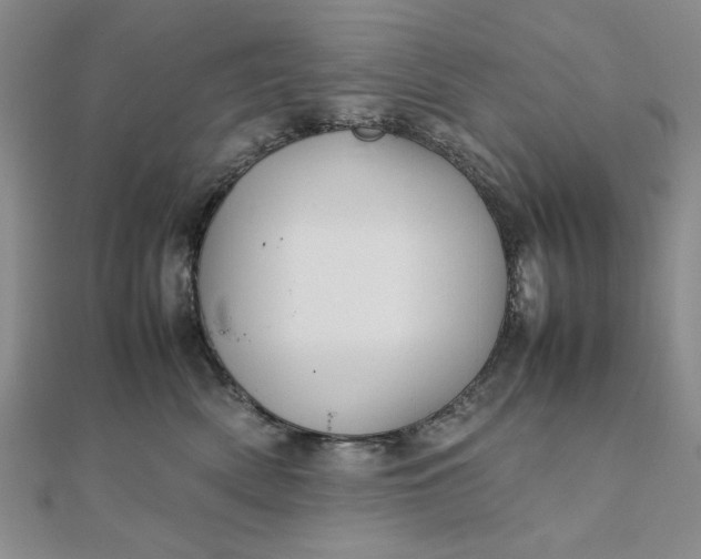 X0000111900522200908101143