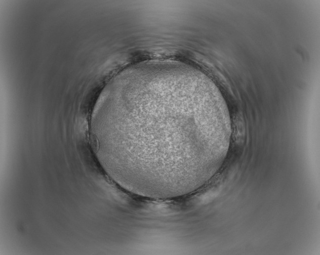 X0000111900523200908101143