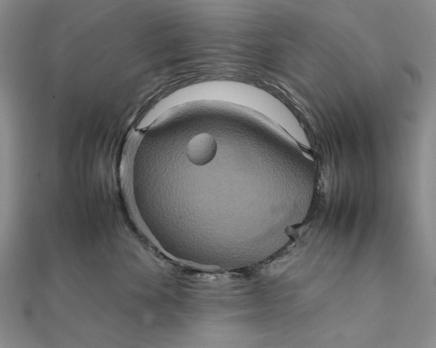 X0000111900524200908101143