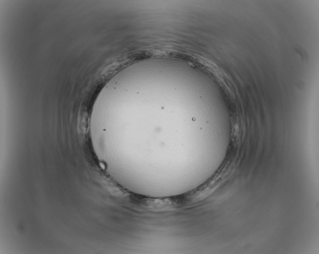 X0000111900525200908101143