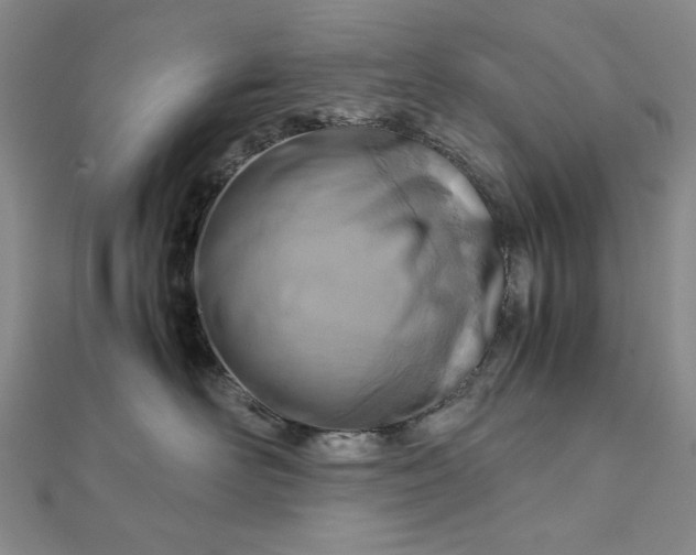 X0000111900526200908101143