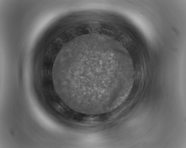 X0000111900527200908101143