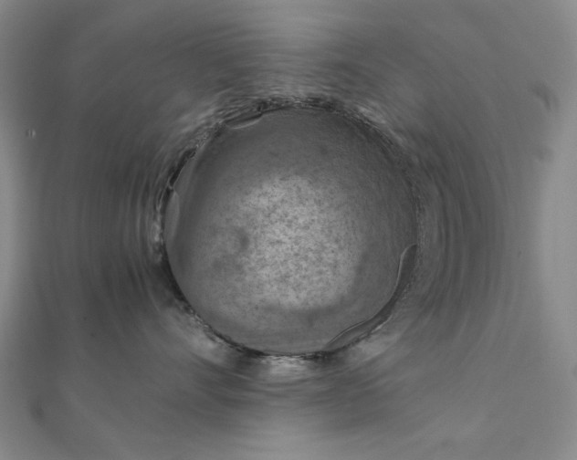 X0000111900528200908101143