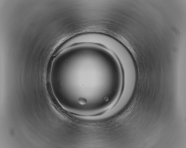 X0000111900530200908101142