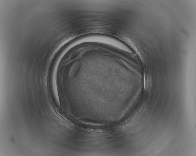 X0000111900531200908101142