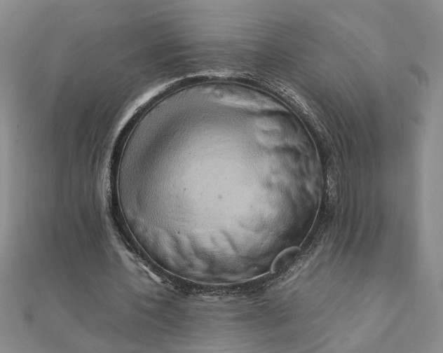 X0000111900532200908101142