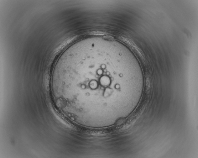 X0000111900533200908101142