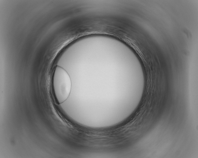 X0000111900534200908101142