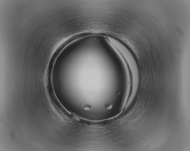 X0000111900536200908101142