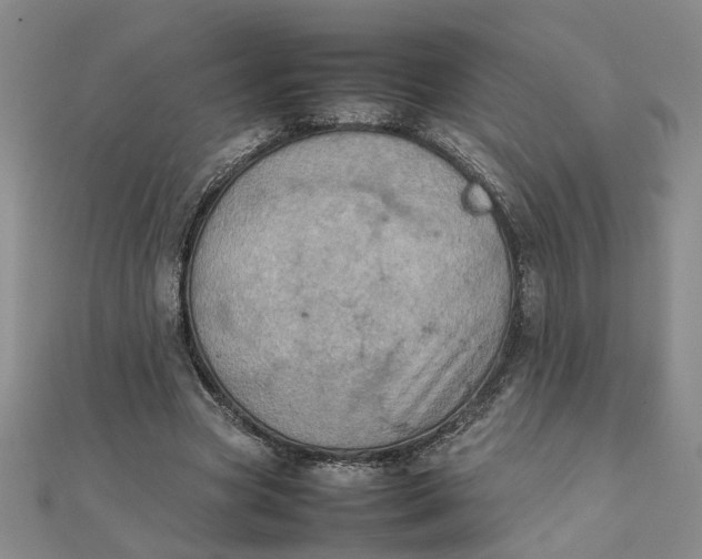 X0000111900537200908101142