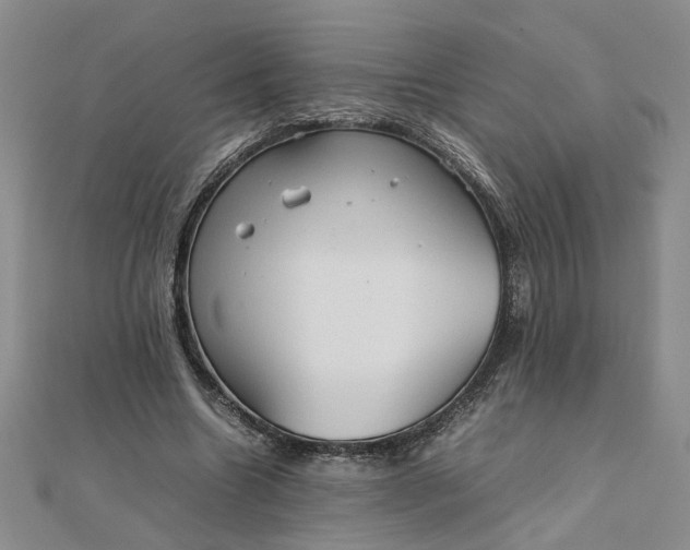 X0000111900538200908101142