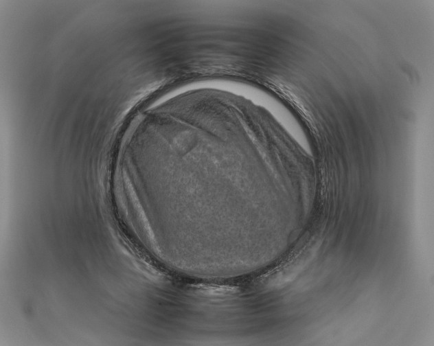 X0000111900539200908101142