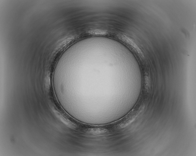 X0000111900541200908101142