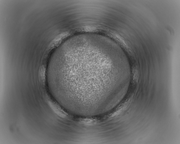 X0000111900542200908101142