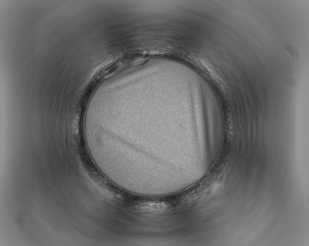 X0000111900543200908101142