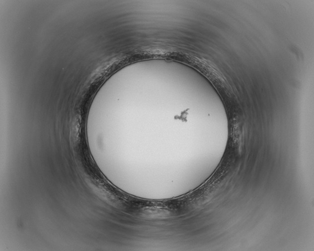 X0000111900544200908101142