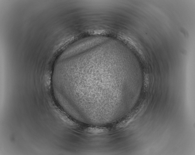 X0000111900545200908101142