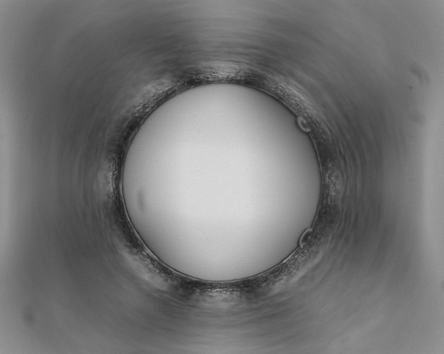 X0000111900546200908101142