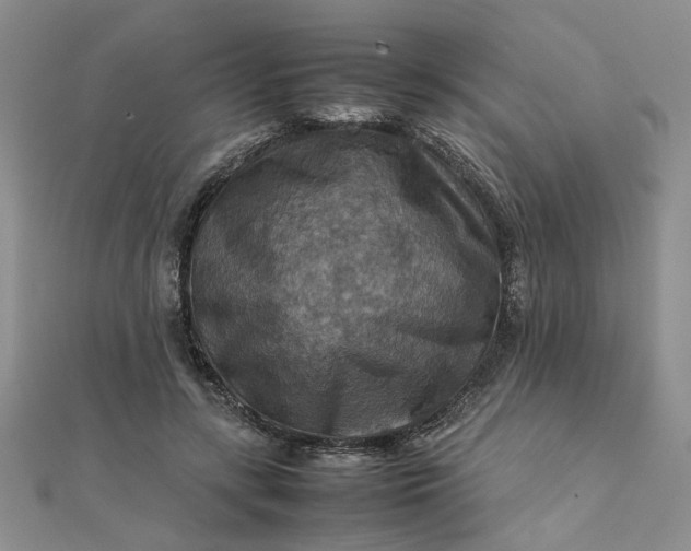 X0000111900547200908101142