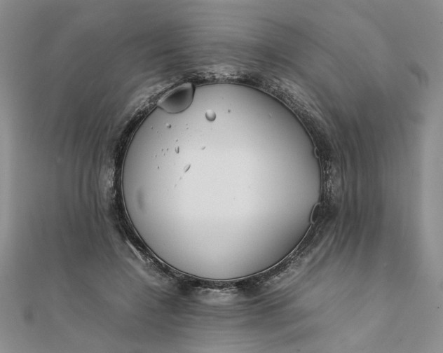 X0000111900548200908101142