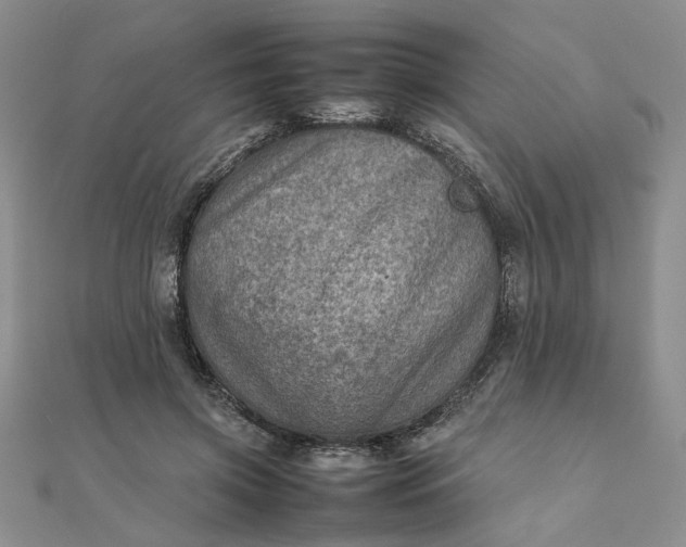 X0000111900549200908101142