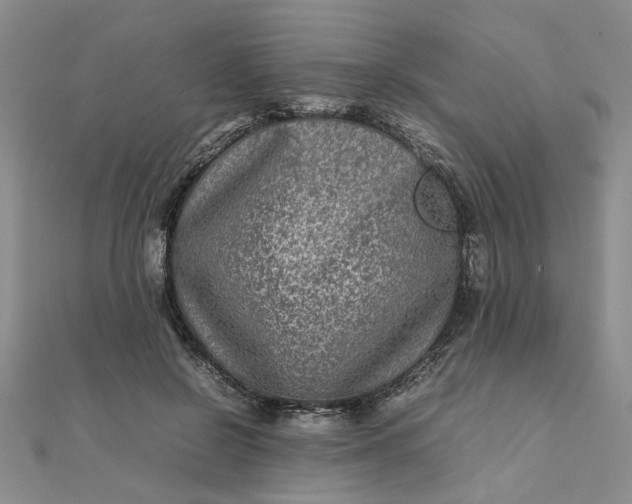 X0000111900550200908101142