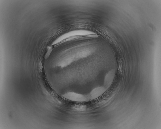 X0000111900551200908101142