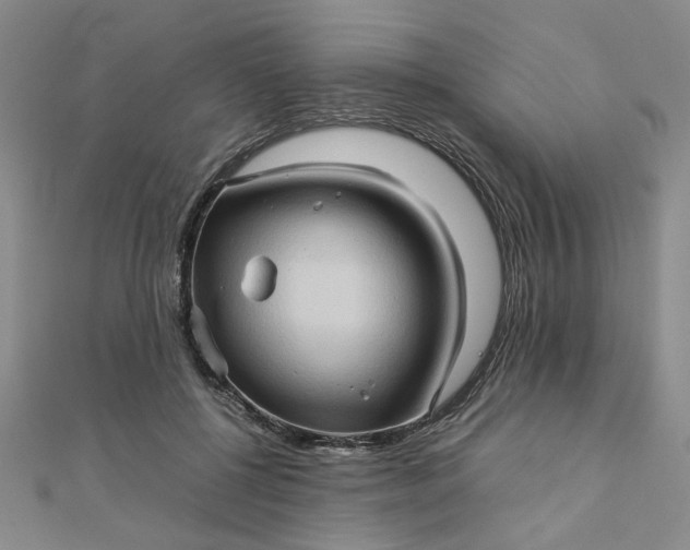 X0000111900552200908101142