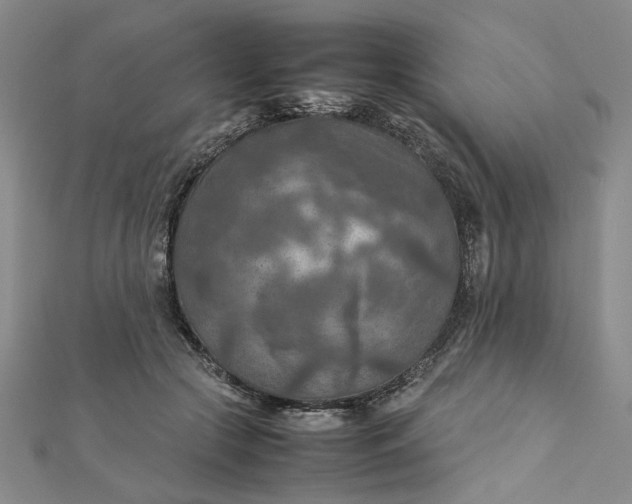 X0000111900553200908101142