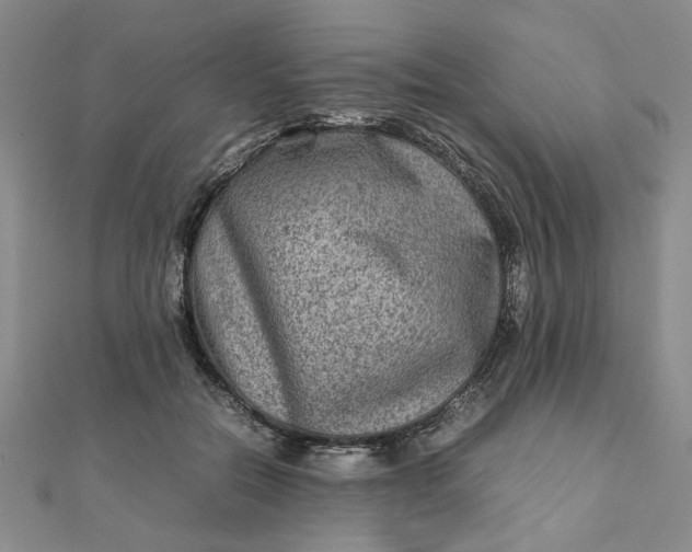 X0000111900554200908101142