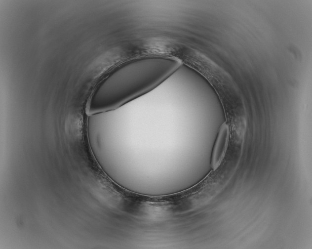 X0000111900556200908101142