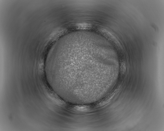 X0000111900557200908101142