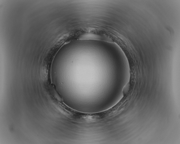 X0000111900558200908101142