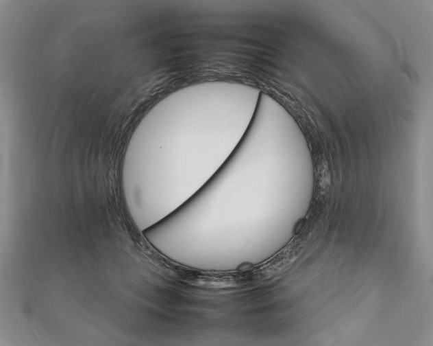 X0000111900559200908101142