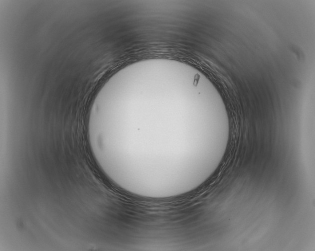 X0000111900560200908101142