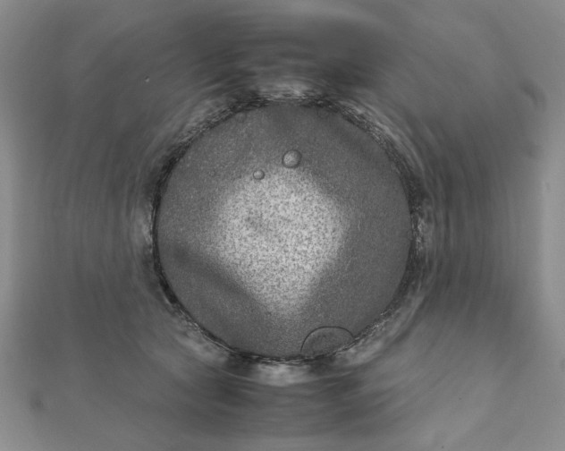 X0000111900561200908101142