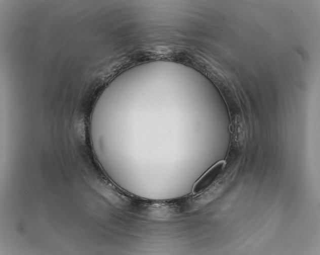 X0000111900562200908101142