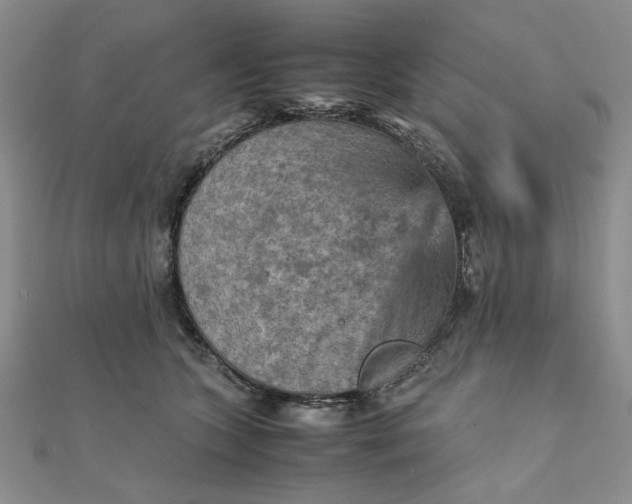 X0000111900563200908101142