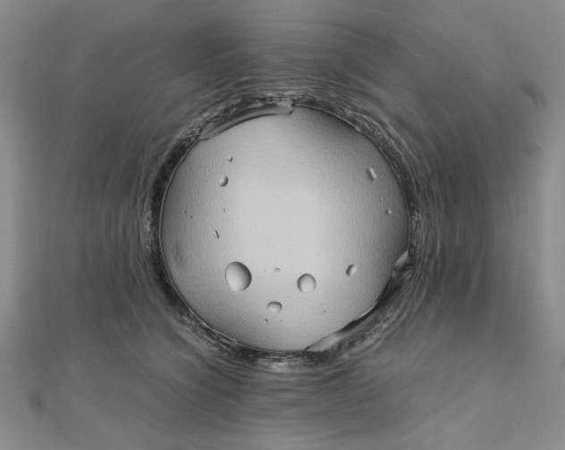 X0000111900564200908101142