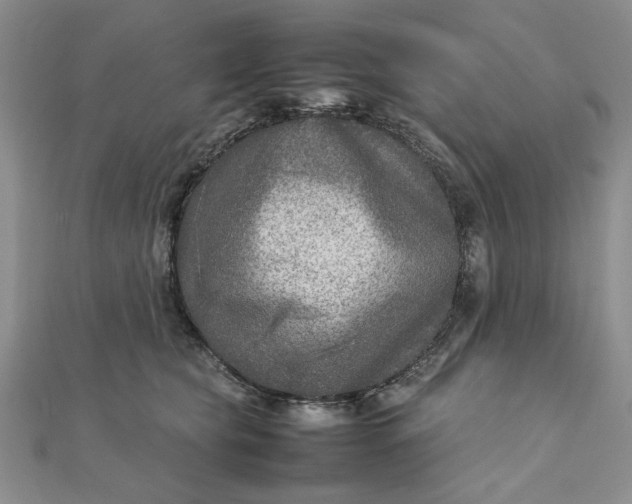 X0000111900565200908101142