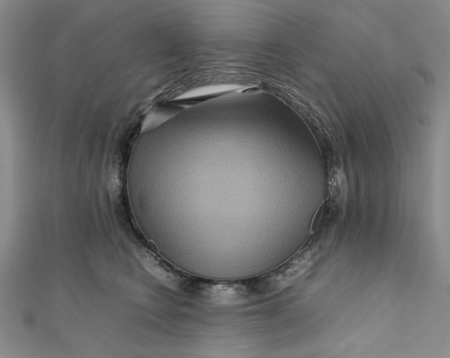 X0000111900566200908101142