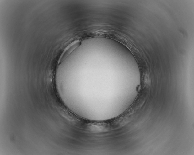 X0000111900567200908101142