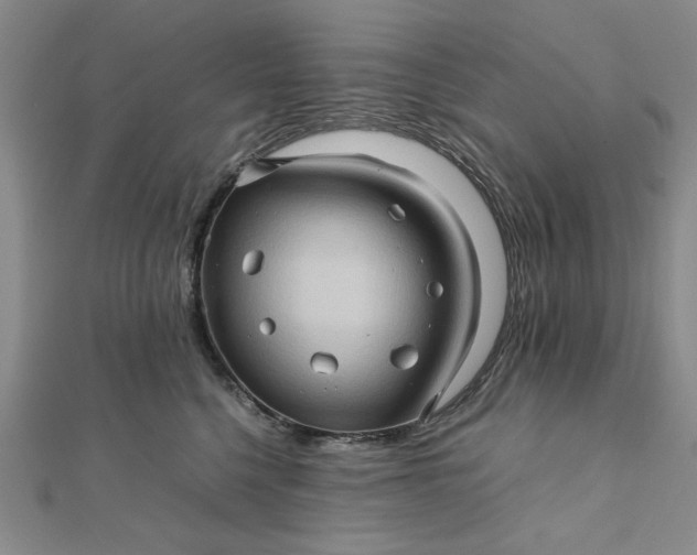 X0000111900568200908101142