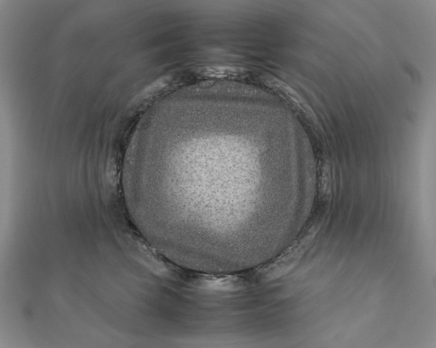 X0000111900569200908101142