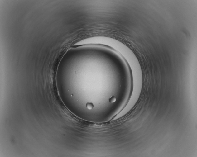 X0000111900570200908101142